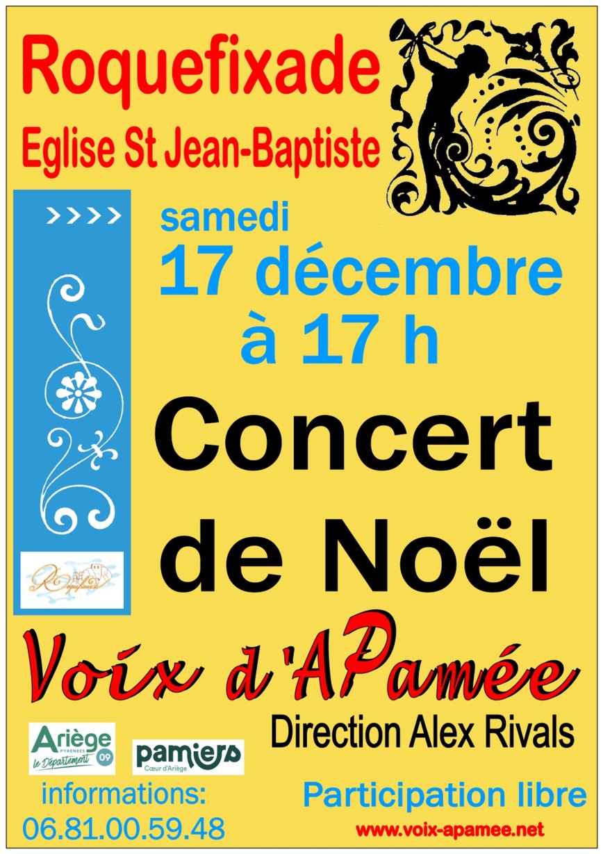 Affiche concert Noël Roquefixade